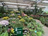 🌺 A Scenic Hideaway: Camellia Hill, Jeju