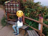 สัมผัสธรรมชาติรอบตัวและชมนกนานาพันธุ์@Saeseom Island,Jeju Isliand