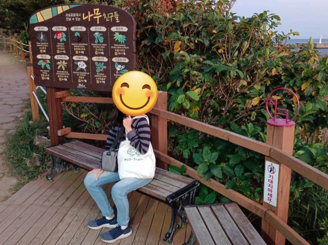 สัมผัสธรรมชาติรอบตัวและชมนกนานาพันธุ์@Saeseom Island,Jeju Isliand
