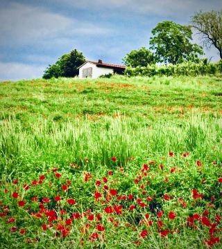 Norway Røros Copper Works to Femundsmarka National Park Sami Turf Hut Laneeasytravelpost