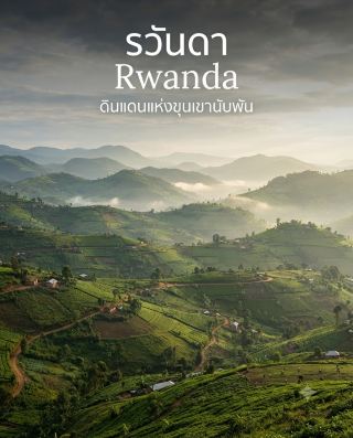 🇷🇼 When people think of Rwanda, the first thing that comes to mind is probably mountain gorillas.