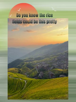 Would You Travel 3 Hours Just to See Rice Fields? Longji Might Change Your Mind! 🌾🏔️