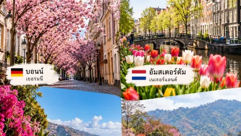 Cities Transformed by the Beauty of Flowers — traveler post in Bonn