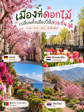 Cities Transformed by the Beauty of Flowers