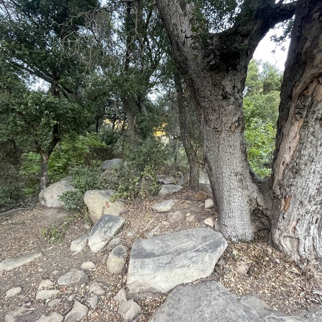 Los Angeles 