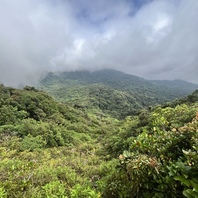 The Green Town - Monteverde