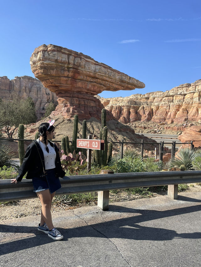 カリフォルニア&ディズニーランド旅行✈️