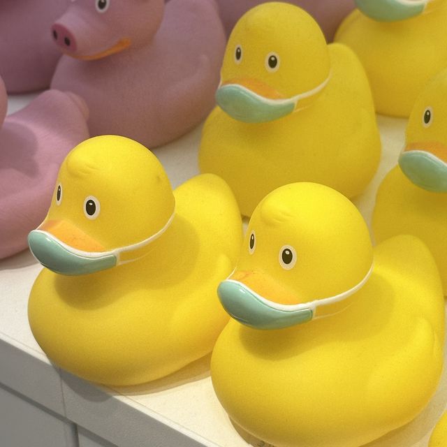 🐤귀여운 오리소품을 살 수 있는 Duck Botique