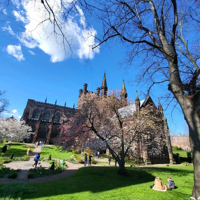 🌺春天的櫻花聖堂🌸Chester Cathedral