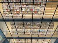 里加具有建築感的國際圖書館
