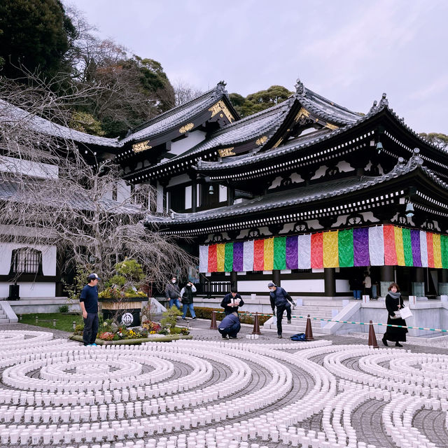 💯 Cultural Experience in 🇯🇵 - Perfect day trip from Tokyo!
