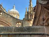 Salamanca Cathedral 🇪🇸