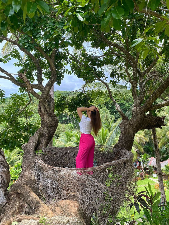 Anyas Burobanglid Mountain Resort 🏕️🏡