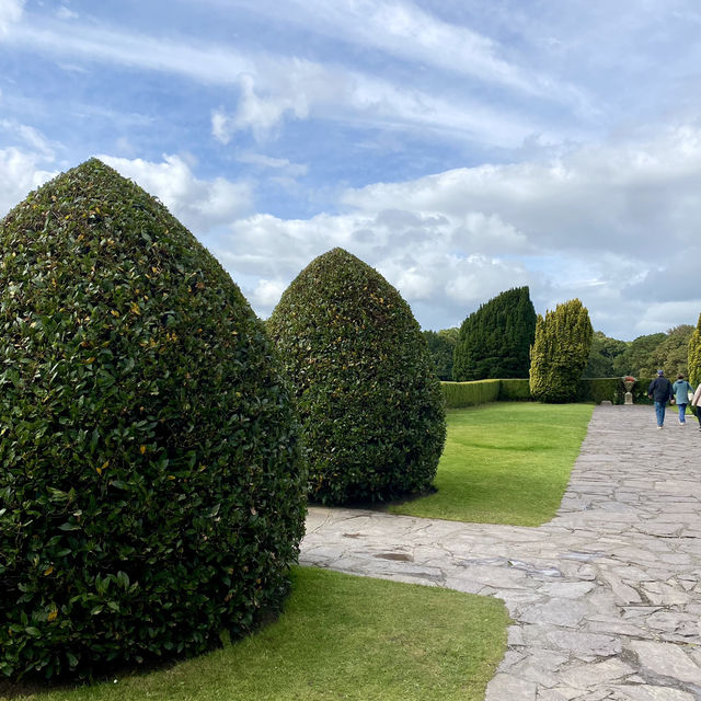 Strolling Through Elegant Gardens 🌸