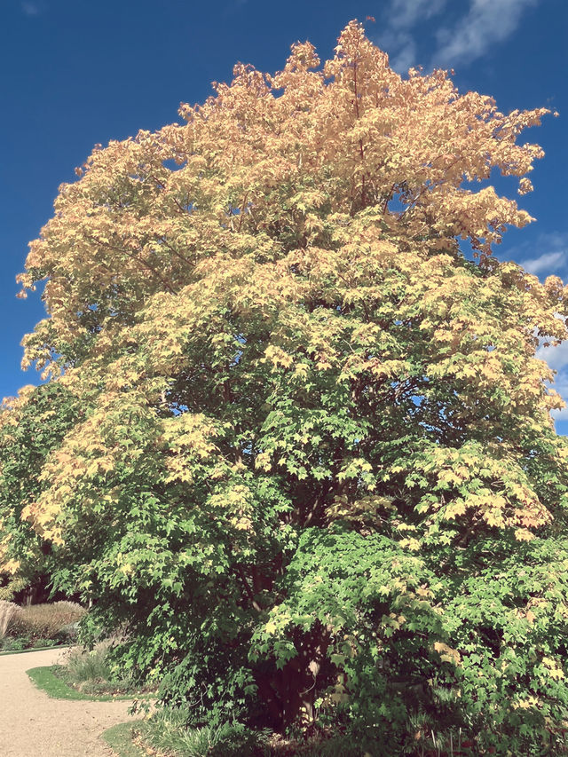 가을의 Botanischer Garten