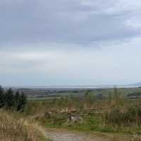 The fellside trail