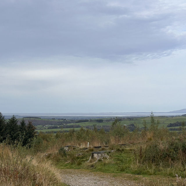 The fellside trail