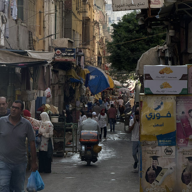 Vibrant Heart of Alexandria 