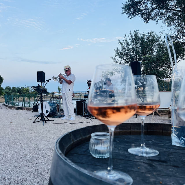 Sunny Days & Sips: The Perfect South of France Escape 🌞🍷