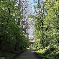 Monsal Dale - Monsalhead Viaduct & Headstone Tunnel