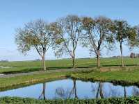 Edam Exposed: 3 Fun Facts That Will Make You Want to Visit!