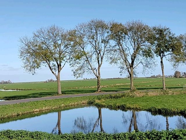 Edam Exposed: 3 Fun Facts That Will Make You Want to Visit!