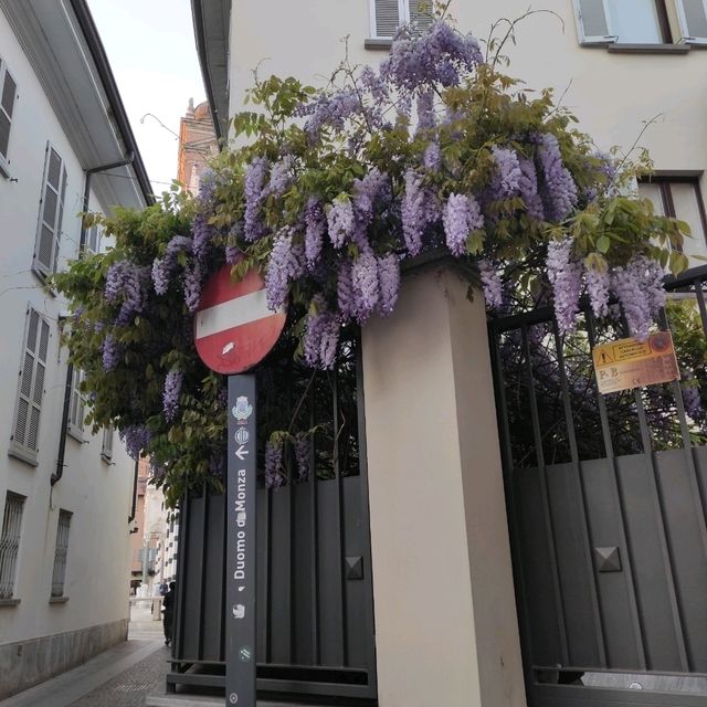 Discover the Charm of Monza's Old Town! 🌆💖