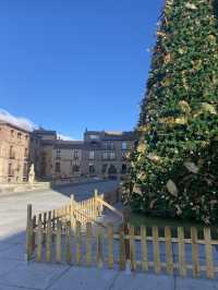 A Majestic Christmas Tree at the Alcázar