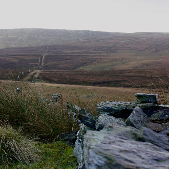 Misty moors 