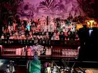 Hidden cocktail bar in Bonn