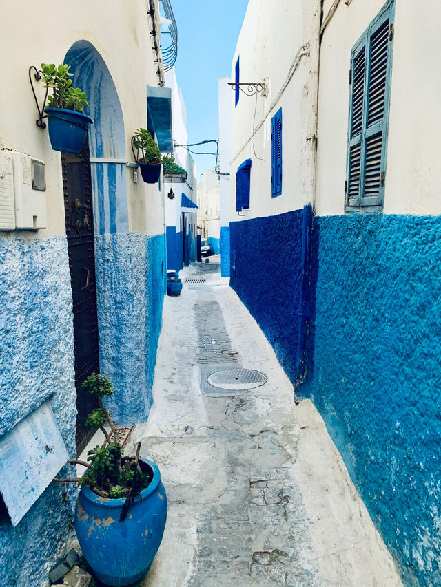 Trip Moment: Tunisia – A Symphony of Blue and White 💙🇹🇳