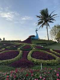 Tagaytay Phils🇵🇭