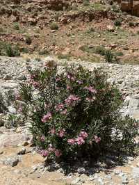 Todra and Dades Gorges