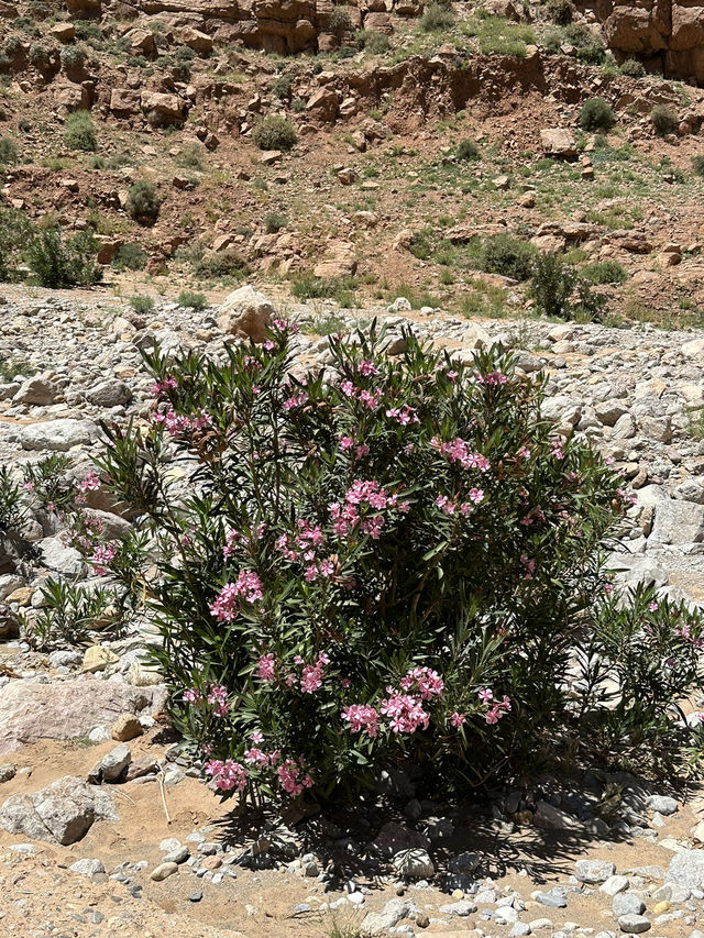 Todra and Dades Gorges