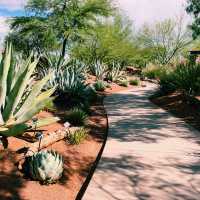 🚗🌵 Red Hills Desert Garden – The Perfect Scenic Stop Between National Parks 🦖🌺