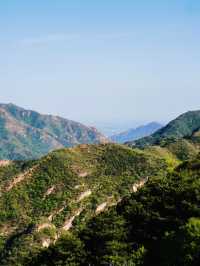 Greenery at the Great Wall