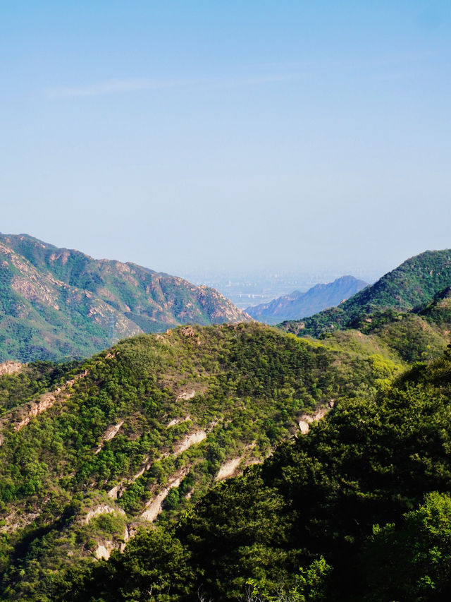Greenery at the Great Wall