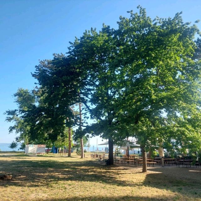 Beautiful Promenade in Siófok Day and Night