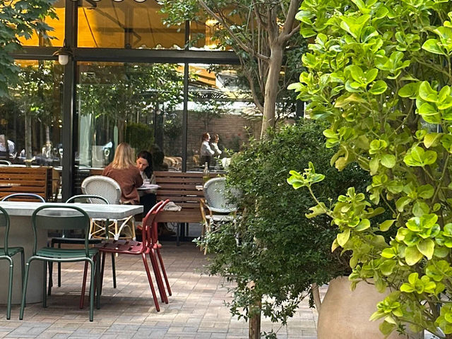 ✨ Iakobis Ezo – Where Tbilisi’s Soul Comes Alive! ✨