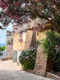 🌿 Gassin: A Hilltop Jewel Overlooking the Glamour of Saint-Tropez 🇫🇷✨