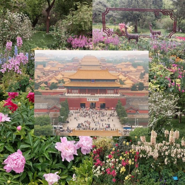 Jingshan park is a beautiful park