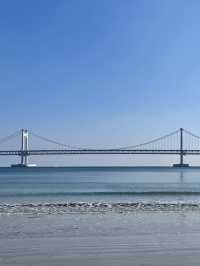 🌴 제주와 부산, 바다 위에 펼쳐진 감성의 결 🌆