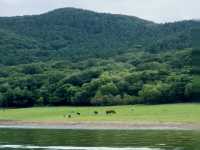 Songhua Lake: A Sparkling Jewel in Jilin’s Mountains