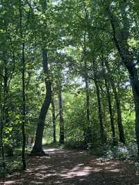 High Elms Park summer cool