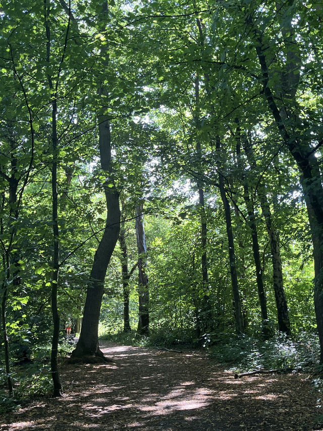 High Elms Park summer cool