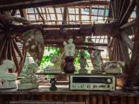 Giant Catfish Farm: A Peaceful Hidden Spot in Krabi