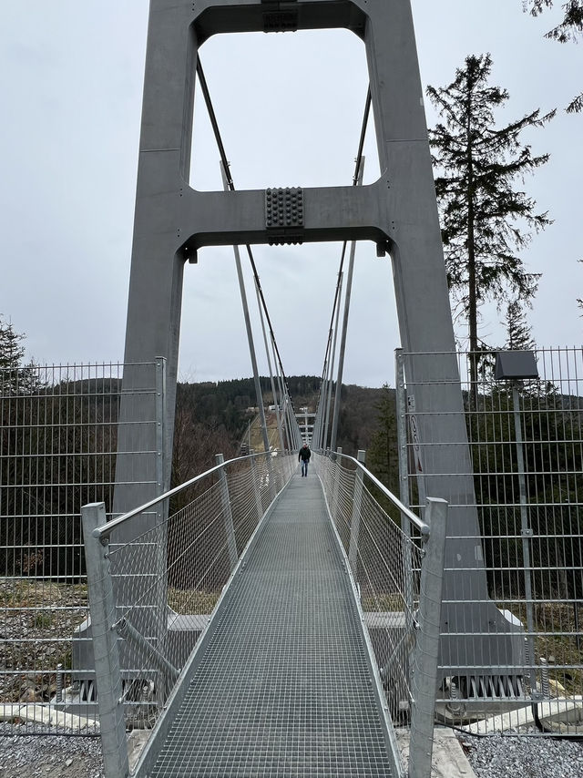 Above the trees, beyond the ordinary — welcome to Skywalk Willingen 🇩🇪🌉🌲 