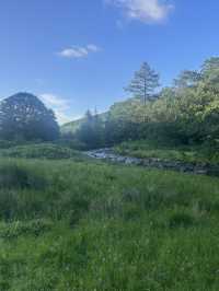 Down by the river