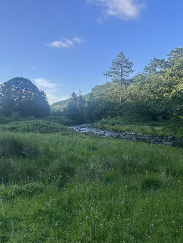 Down by the river