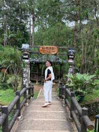 🌿🌸 Baguio’s Hidden Jungle: A Walk Through Botanical Wonder 